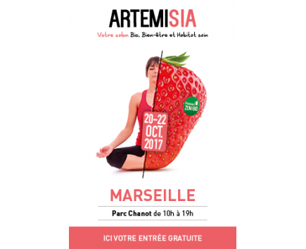 Salon Artémisia Marseille (13)